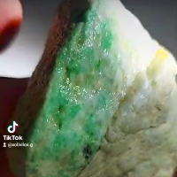 木那 綠色帶 賭進色 木那 綠色帶 賭進色
