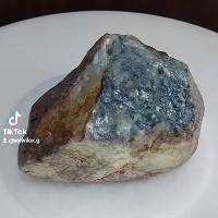 木那 楊梅皮 枯下種