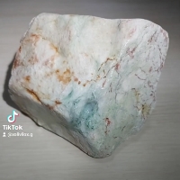 木那 沙細 賭進色