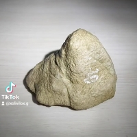 莫西沙 包漿皮賭種水