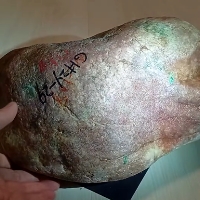 木那楊梅皮 飄綠花 17KG